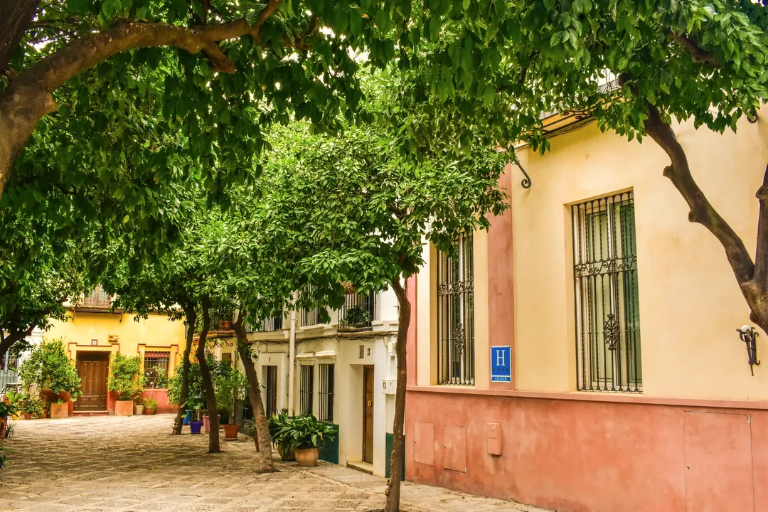 Calle del barrio de Santa Cruz con naranjos y fachadas encaladas